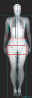 Body scan with regional fat distribution